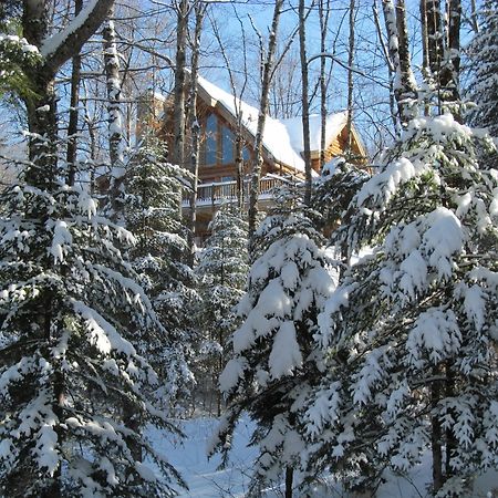 Blueberry Lake Resort Labelle Exteriör bild
