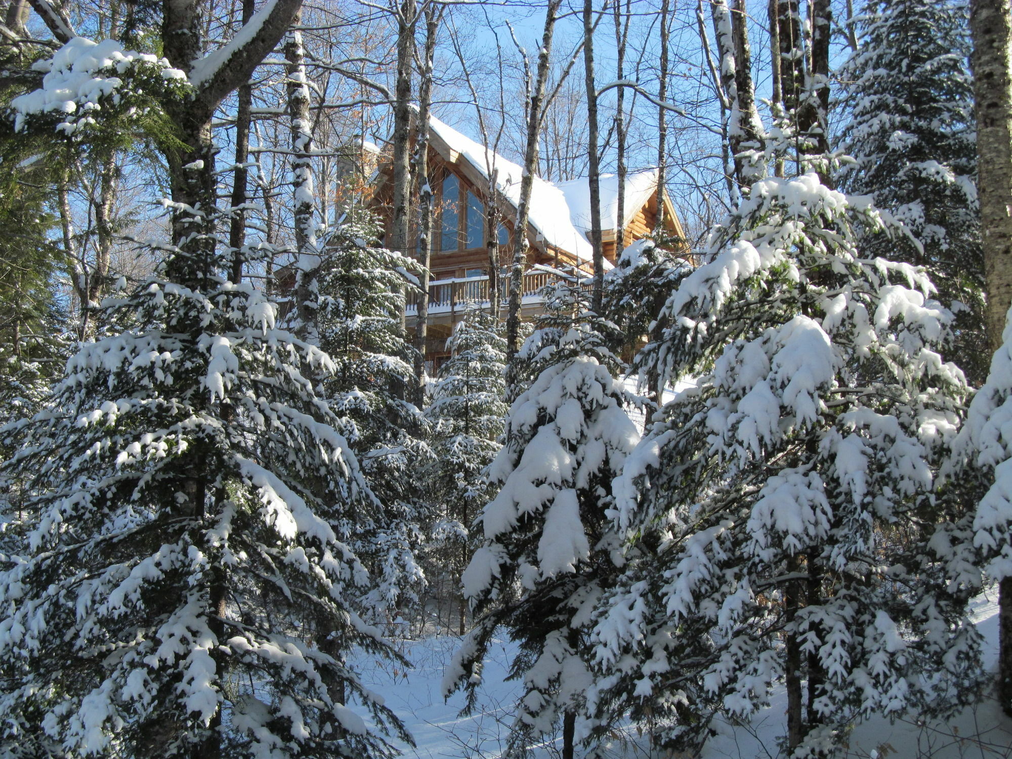 Blueberry Lake Resort Labelle Exteriör bild